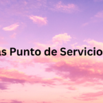 Llantas Punto de Servicios S.A.S 